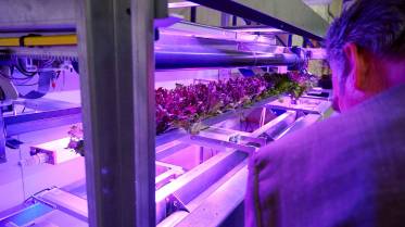 babel-zaans-architectuurplatform-a-tot-z-debat-v-2025-54_original