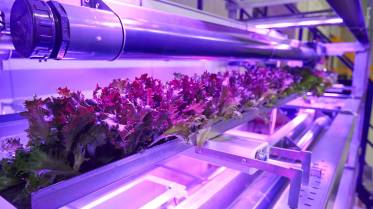 babel-zaans-architectuurplatform-a-tot-z-debat-v-2025-55_original