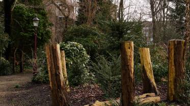 034-z7a042754__lr_original