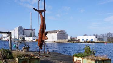 042-z7a042800__lr_original