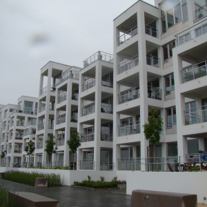 DSC03893