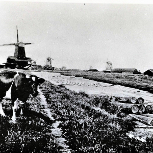 Scherm­afbeelding 2026-07-02 om 09.52.55